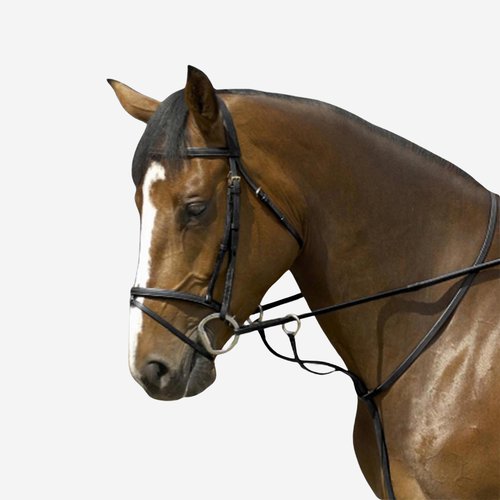 Fouganza Martingal mit Ringen - Schooling schwarz