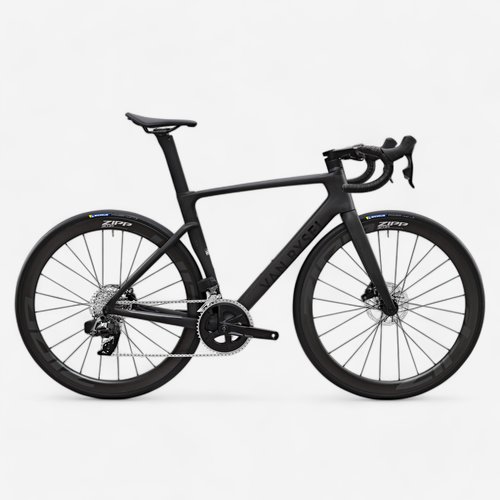 Van Rysel Rennrad RCR Rival AXS Carbon Raw Powermeter