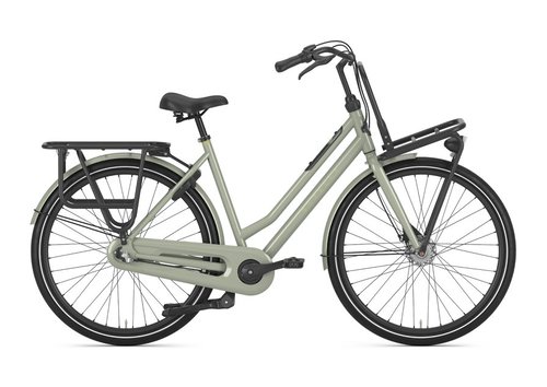 Gazelle Heavy Duty NL 3 Damen grün 2023/2024