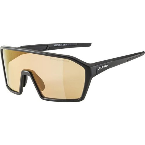 Alpina Herren Brille RAM HVLM+