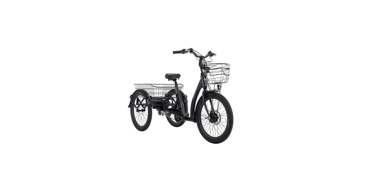 Verwunderlich Adore Cargo E Bike Swing Ebenbild