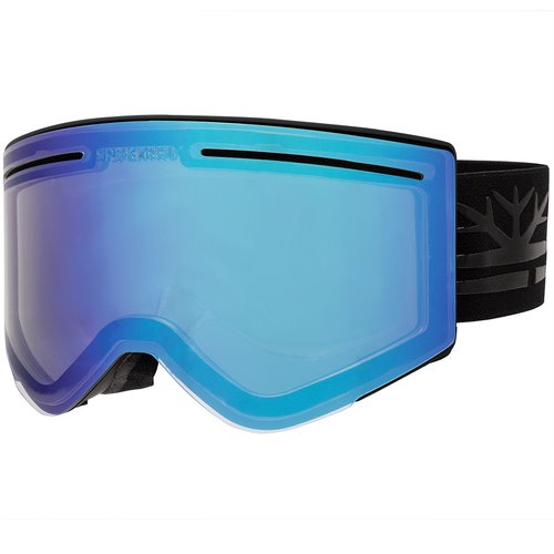 DPS Spektrum G007 Helags Photocromic Skibrille (Größe One Size, Schwarz)