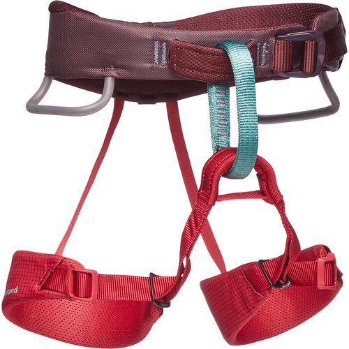 Black Diamond Kinder Momentum Klettergurt
