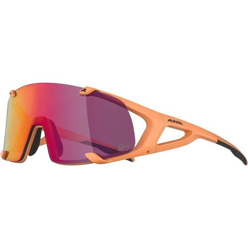 Alpina Hawkeye S Q-Lite Sportbrille