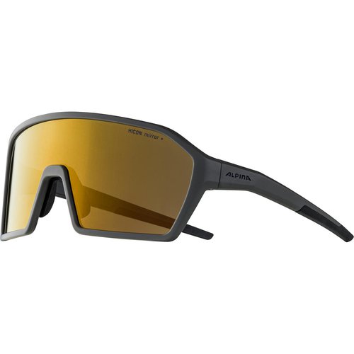 Alpina Ram Q-Lite Sportbrille