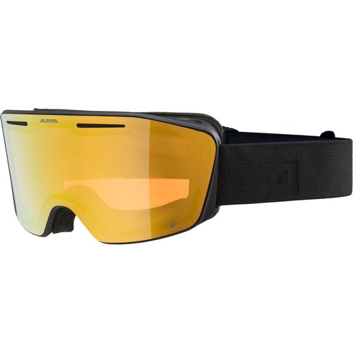 Alpina Nendaz Q Skibrille