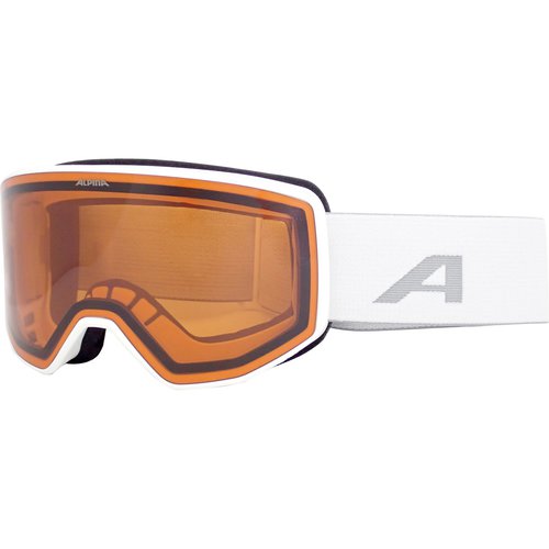 Alpina Venet Skibrille