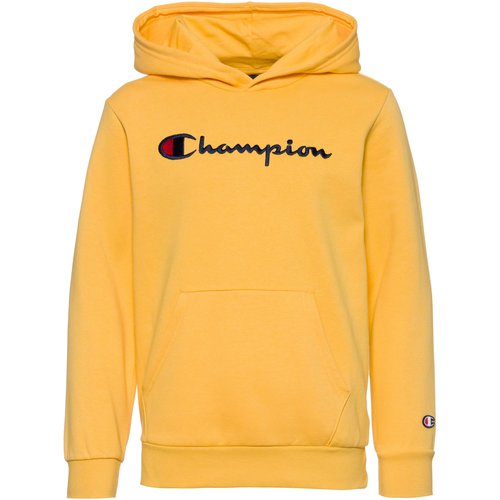 Champion LEGACY ICONS Hoodie Kinder