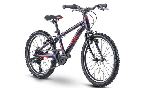 Raymon TwoRay 1.0 - 20 Zoll 7K Diamant - purple red - 2022