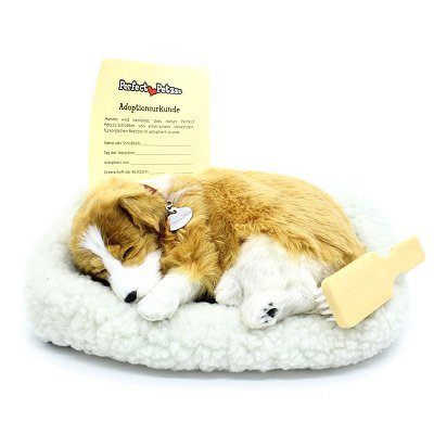 Perfect Petzzz Schlafende Welpen, Collie