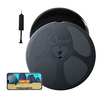 Bobo Balance-Board "Home 2.0"