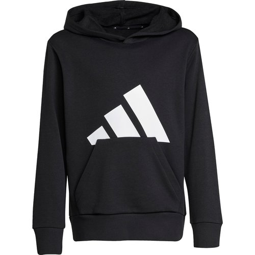 Adidas BIG LOGO Hoodie Jungen