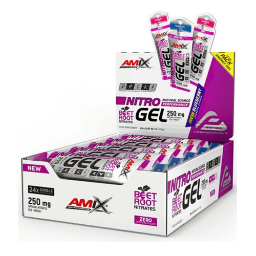 Amix Nitro Performance Gel Blaubeeren 24 ud x 70 gr