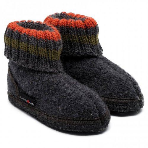 Haflinger Kids Paul
