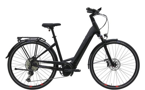 Pegasus Pegasus Premio Evo 12 Superlite - 28 Zoll 625 Wh 12K Wave- weiß - 50 cm