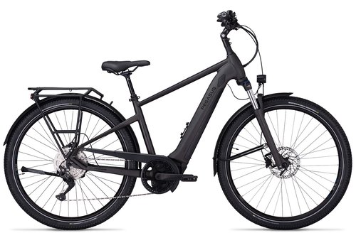 Pegasus Savino Evo 10 CX - 28 Zoll 625Wh 10K Diamant - grey matt - 2022