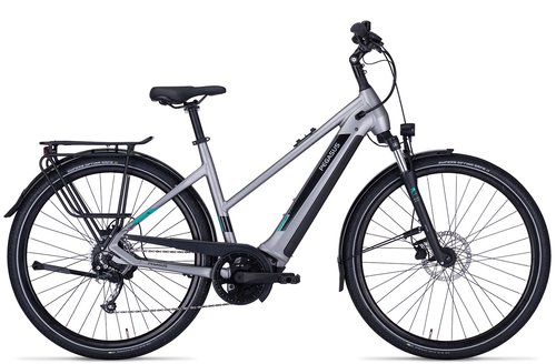 Pegasus Evo CX 750 (2022) - 28 Zoll 750Wh 9K Trapez - silver matt