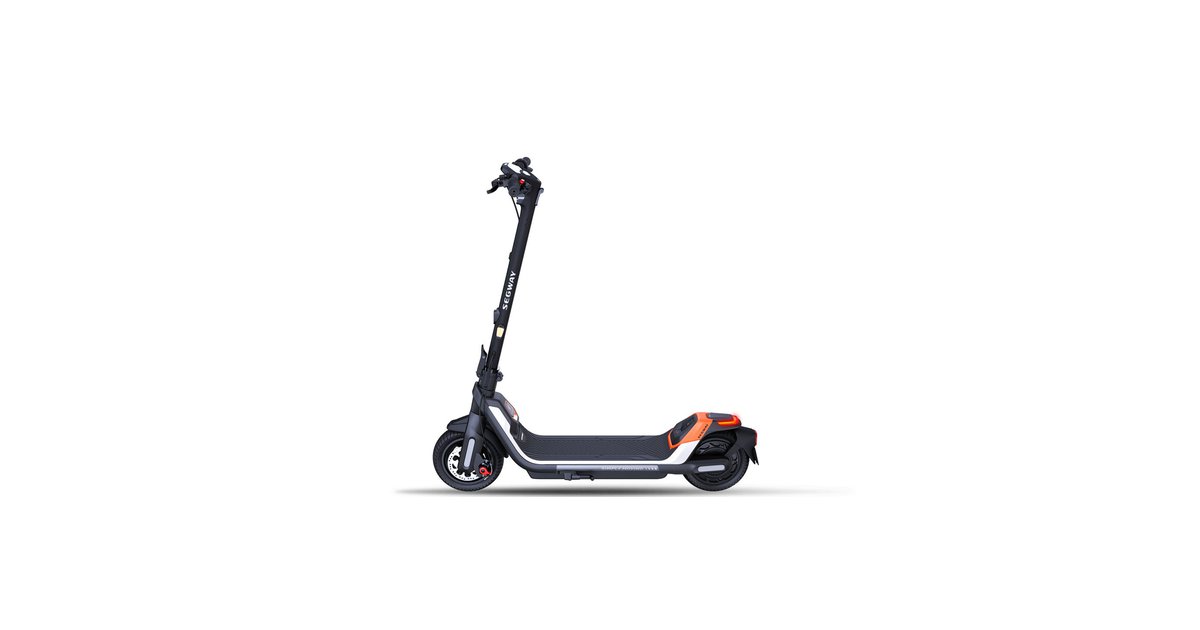 Segway Ninebot KickScooter P65D - 20Kmh StVZO - schwarz - 2023