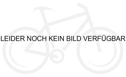 Riese und Müller Transporter 65 vario - 26 Zoll 500Wh Enviolo Lastenrad - true white - 2023