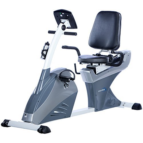 skandika Centaurus Liege-Ergometer, 9 kg Schwungmasse, 12 vorinstallierte Trainingsprogramme & Bluetooth Smartphone/Tablet App-Steuerung mit Google Street View (weiß/grau (LCD-Computer))
