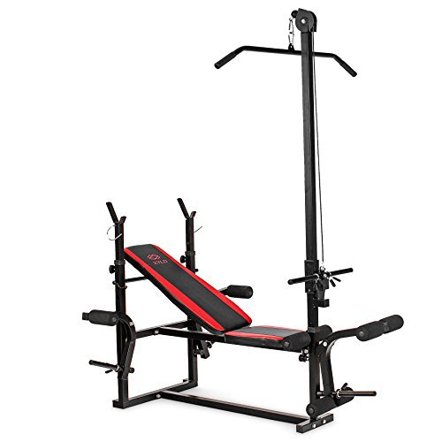 Xylo Hantelbank Kraftstation Dipstation Gymtower Fitnessgerät Trainingsbank Multibank Hantel Fitness Multifunktion Station Kraft klappbar Home Gym verstellbar XG-500
