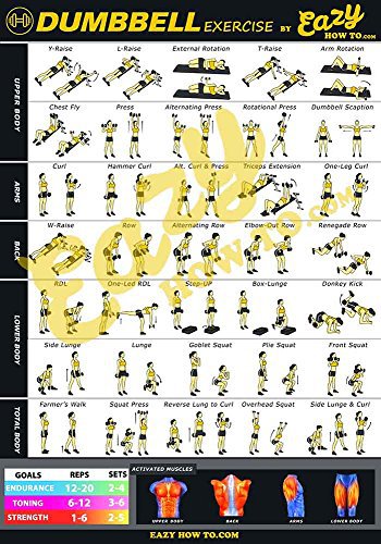 Eazy How To Eazy wie zu Hantel Übung Workout Poster Big 51,0 x 73,0 cm Zug Ausdauer, Ton, Build Stärke & Muscle Home Gym Diagramm