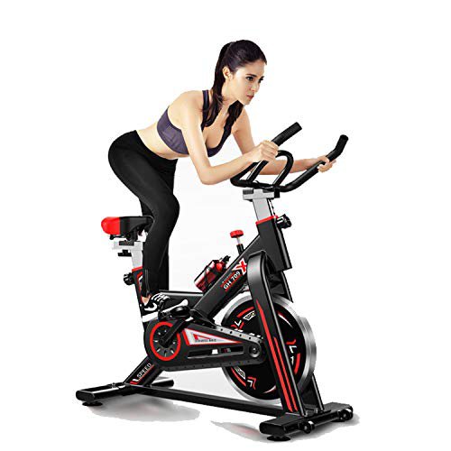 Speee Heimtrainer Fahrrad, 13 Kg Schwungrad Ergometer Hometrainer Mit Magnetwiderstandseinstellung, LCD-Anzeige, Flasche- Und Tabletshalter, Einstellbare Sitzhöhen