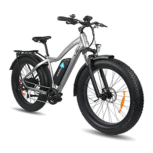 DERUIZ Lava E-Bike 26" Elektrische Fahrräder für Erwachsene Ebikes 48V Herausnehmbarer 13Ah Batterie Dicke Übergroße Reifen Fahrrad Beach Cruiser Fat Bike(Grau)