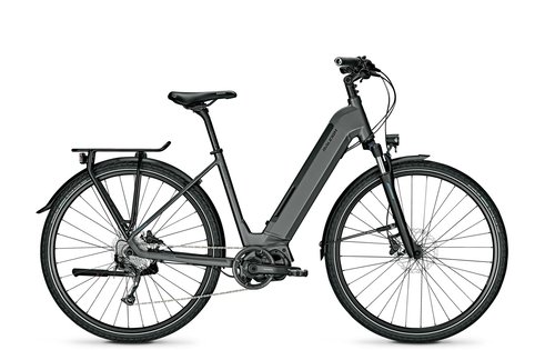 Raleigh PRESTON 9 granitegrey matt 2021 28"; 540 Wh Wave