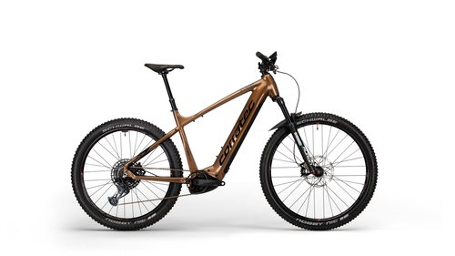 Corratec E-Power X Vert Factory Rot-Gold/SchwarzMatt 2023 29";/27,5"; 750 Wh Diama...