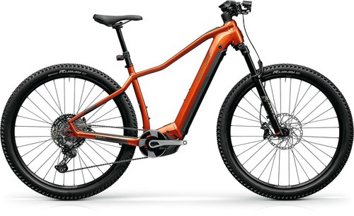 Centurion Backfire Fit R2000i bernstein 2024 29"; 750 Wh Diamant