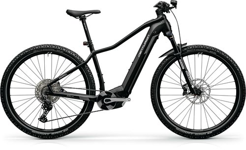 Centurion Backfire Fit R800i mattschwarz 2024 29"; 625 Wh Diamant