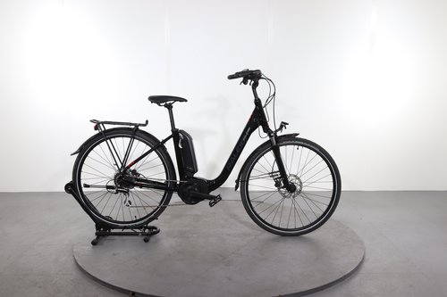 Raleigh Kingston 8