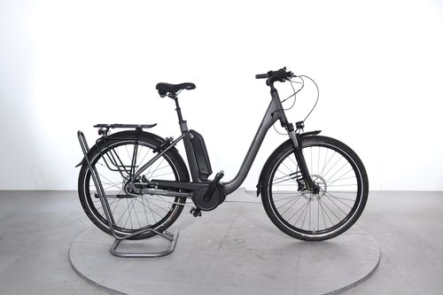 Raleigh Kingston 8 XXL