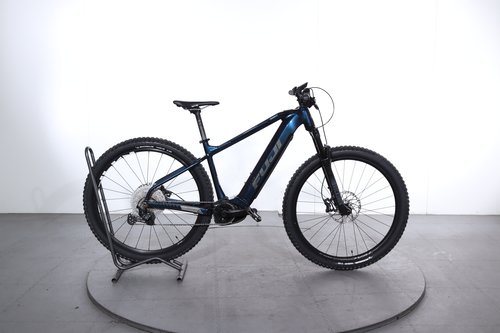 Fuji Ambient EVO 1.3 29R