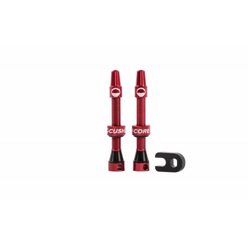 Cushcore Paar Tubeless-Ventile