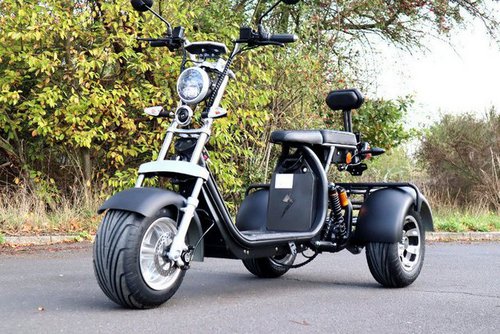 Tpfliving E-Scooter Coco Bike Fat Trike - Elektroroller -Akku: 1 x 60 Volt/12Ah, 35 km/h, Roller elektro ab 14 Jahren mit Scheibenbremsen - Farbe: schwarz