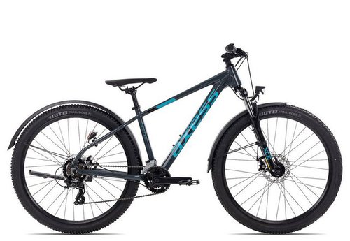 Axess Mountainbike SANDEE ATB, 14 Gang Shimano RD-TX800-7 Schaltwerk, Kettenschaltung, MTB-Hardtail schwarz/grau