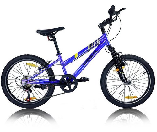 Vankel Kinderfahrrad 20 Zoll Kinderfahrrad Mountainbike Jungen Mädchen, Weihnachtsgeschenk, 6 Gang, Kettenschaltung, 20 Zoll - 6-9 Jahre mit Hochwertige Scheibenbremsen