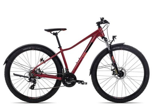 Axess Mountainbike MEEA, 21 Gang Shimano Tourney RD-TX800 Schaltwerk, Kettenschaltung, MTB-Hardtail rot/orange