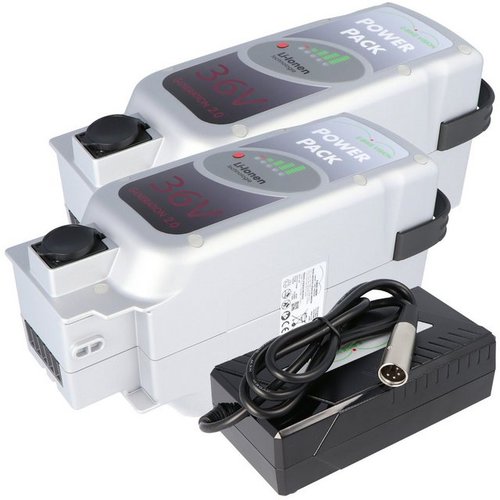 E-Bike Vision 2 Stück E-Bike Power Pack Akku kompatibel zum 36V E-Bike Akku