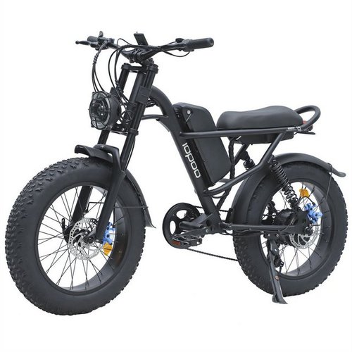 Fangqi E-Bike 20Zoll E-Bike, SHIMANO 7-Gang, 48V 20.8Ah (998.4Wh) Li-lon akku, Hinterradgenerator, (Doppelscheibenbremsen vorne und hinten, LCD-Display, LED-Front- und Rückleuchten, Elektrische Mountainbikes, All-Terrain-Bikes, Retro-Bikes)