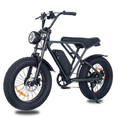 Fangqi E-Bike 20Zoll E bike, Shimano 7-Gang,48V 816Wh,max 25km/h,e bike damen herren, Heckmotor, (Fahrmodi: Pedal-Modus und Power-Assist-Modus)