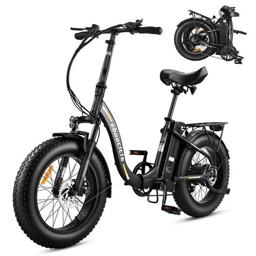 Eboocicle E-Bike 20 Zoll Klapprad, 7 Gang Shimano, 250W Motor, 36V 15.6Ah 561Wh Akku