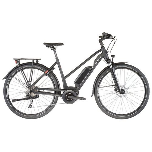 Ortler E-Bike Bozen LTD, 10 Gang Shimano, Kettenschaltung