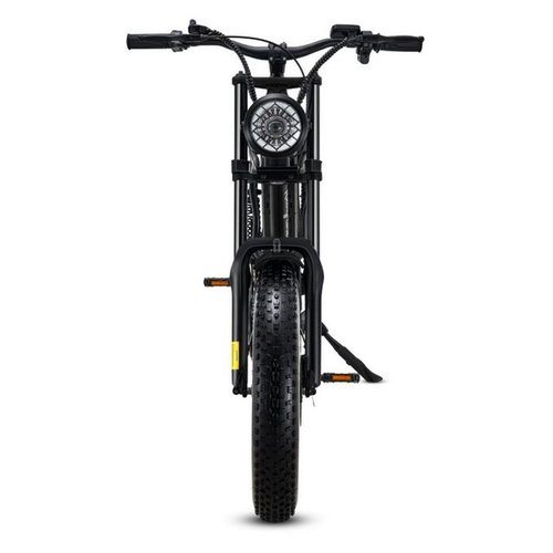 Fangqi E-Bike 20 Zoll Mountainbike,E-BIKE,LCD-Instrument, abnehmbarer 48V/15A Akku, SHIMANO, Kettenschaltung, (set, Ausgestattet mit einem intelligenten LCD-Bildschirm, LED-Scheinwerfern), Mit Scheinwerfern, Rücklichtern, Das Fahrrad hat fünf Gänge