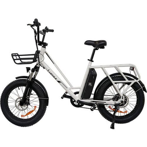 Fangqi E-Bike 20Zoll Elektrofahrrad,E-BIKE,MTB,SHIMANO 6S,250W,36V/10Ah Akku, 25km/h, 250w Heckmotor, 360 Wh Nabendynamo, (Gepäckablage, 1.5Zoll LCD Display, 2 Fahrmodi (kraftunterstützt/Pedal),25km/h, 55–65 km,120kg, 6km/h Gehunterstützungsmodus, Elektrofahrräder für Damen, Stadtfahrräder, tragbare Fahrräder), Gepäckträger und Frontkorb, 1,5Zoll-LCD-Instrument, PAS 3