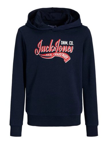 Jack & Jones Junior Sweatshirt JJELOGO SWEAT HOOD 2 COL 24 SN JNR