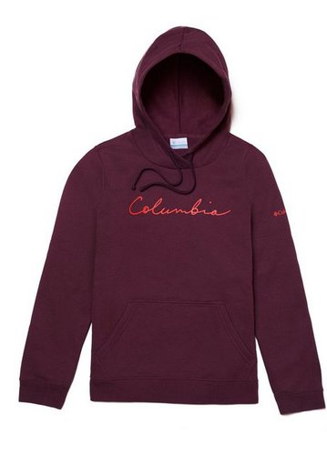 Columbia Hoodie Trek Graphic Hoodie
