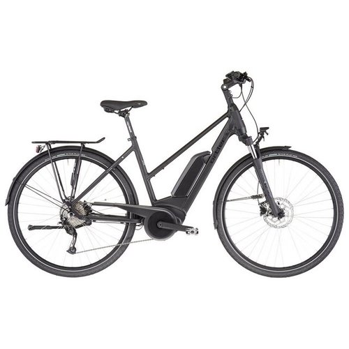 Ortler E-Bike Bozen Performance, 9 Gang Shimano, Kettenschaltung